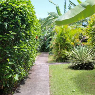 Parties communes Gite Ty Koko Guadeloupe Saint-François